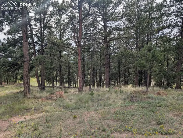 1379 S Mountain Estates RD, Florissant, CO 80816