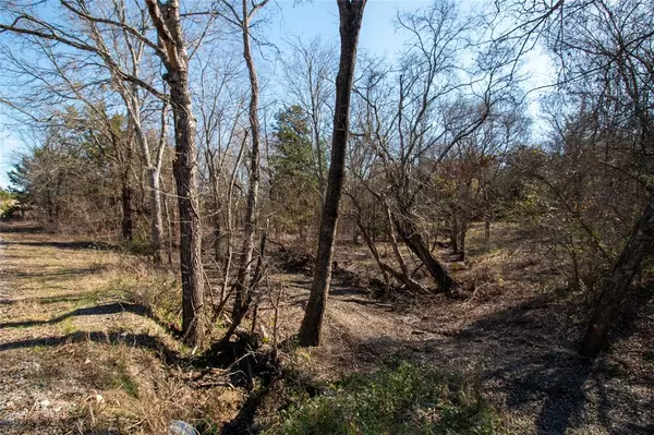 Dodd City, TX 75438,Lot 2 County Road 2905