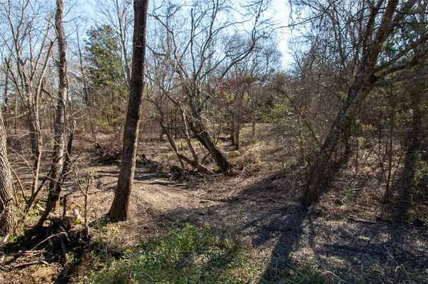 Dodd City, TX 75438,lot4 County Road 2905