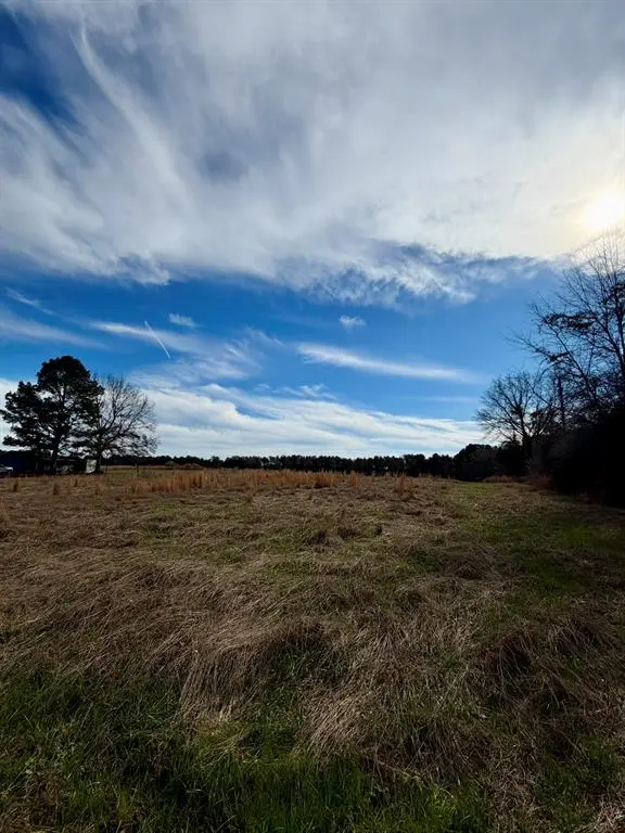 0 Benton Adkins Road, Coushatta, LA 71019