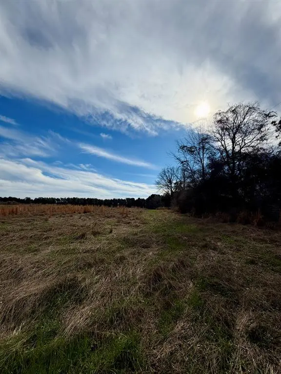 0 Benton Adkins Road, Coushatta, LA 71019