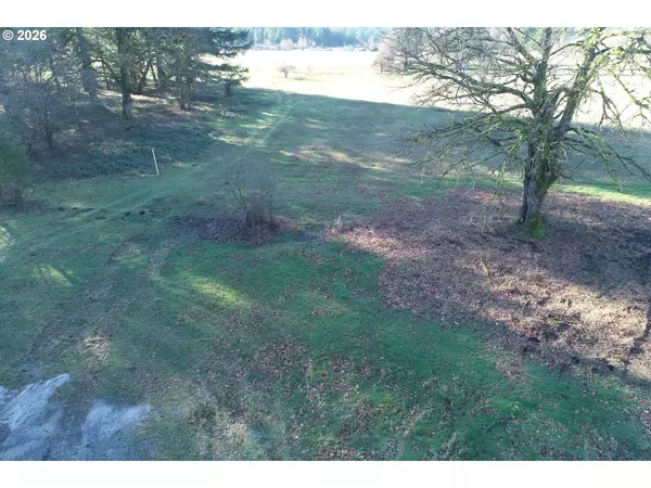 Ariel, WA 98603,11839 LEWIS RIVER RD