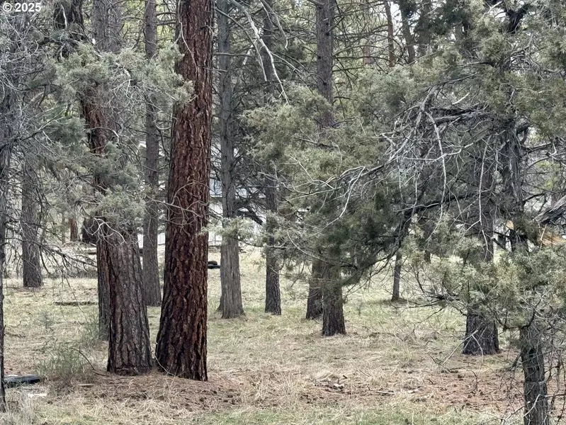 Spoonbill DR #L 57, Bonanza, OR 97623