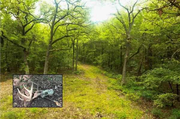 TBD Pearce Road, Collinsville, TX 76233