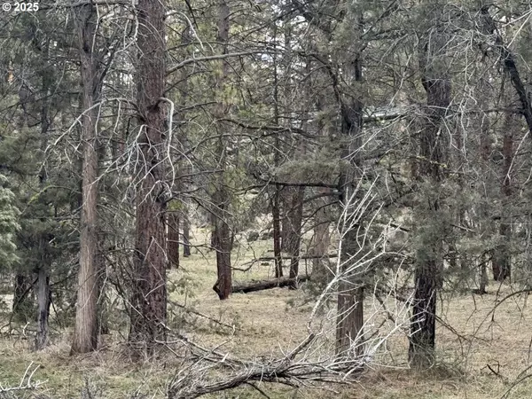 Bonanza, OR 97623,Spoonbill DR #L 57