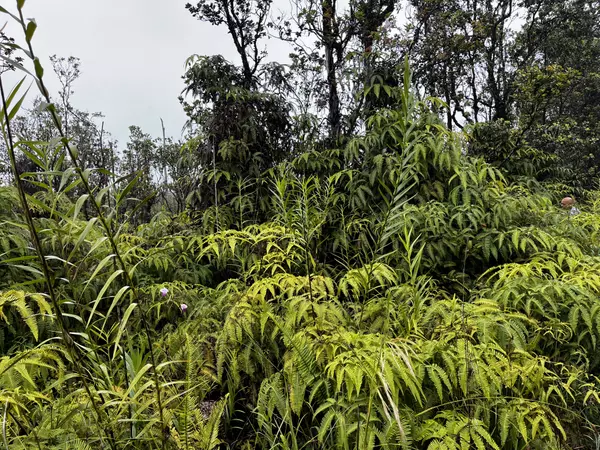 Volcano, HI 96785,KALEPONI DR