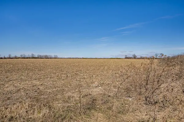 201 Royal Oak RD, Kawartha Lakes, ON K0M 2J0