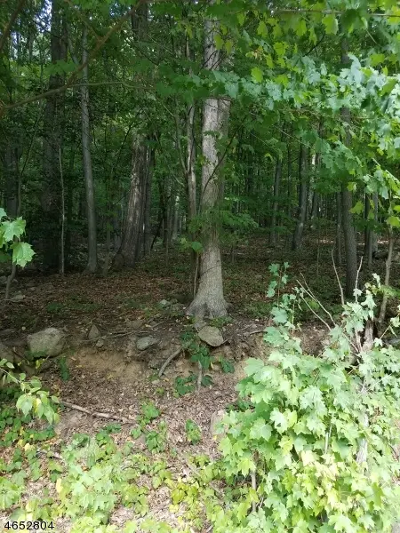 1128 Route 10, Randolph Twp., NJ 07869