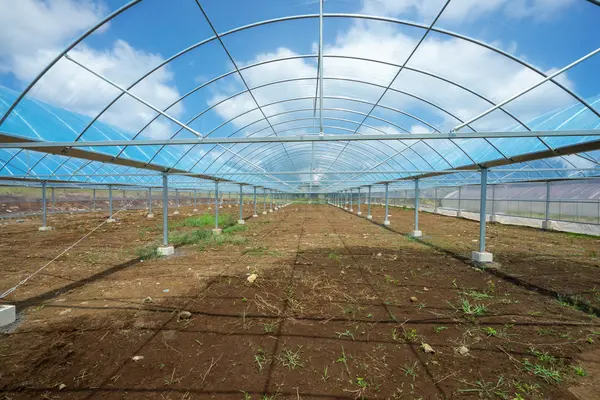 18-3840 S LAUKO RD, Mountain View, HI 96771