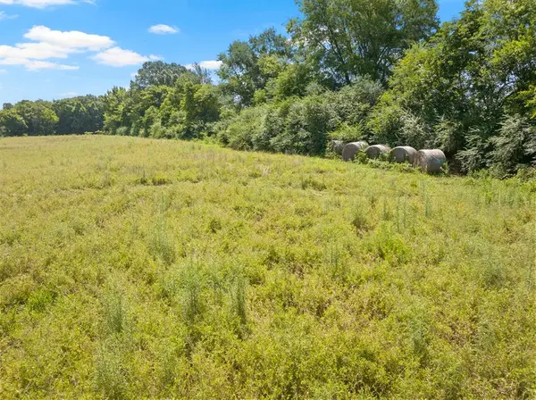 TBD County Road 1342, Mount Pleasant, TX 75455