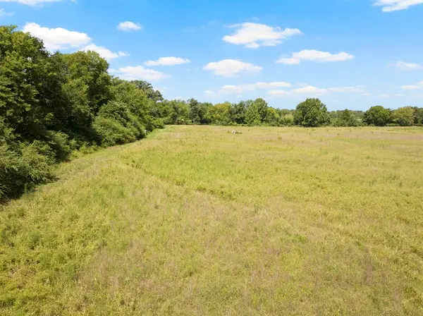 TBD County Road 1342, Mount Pleasant, TX 75455