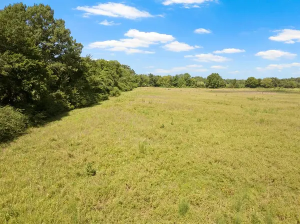 TBD County Road 1342, Mount Pleasant, TX 75455