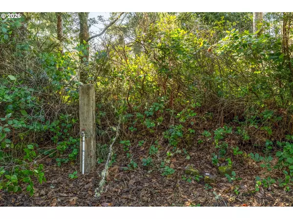 Ocean Park, WA 98640,21329 BIRCH PL