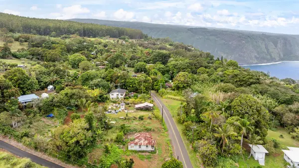 48-5399 KUKUIHAELE RD, Honokaa, HI 96727