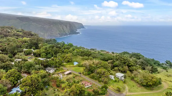 48-5399 KUKUIHAELE RD, Honokaa, HI 96727