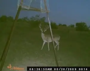 TBD County Road 382, Carlton, TX 76436