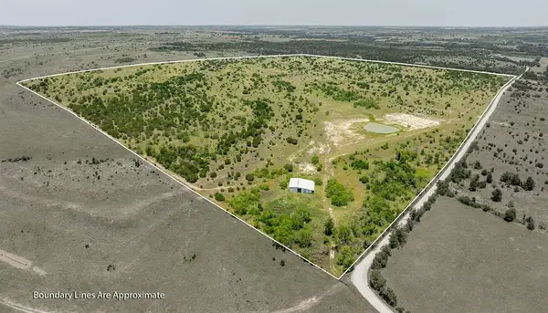 TBD County Road 382, Carlton, TX 76436