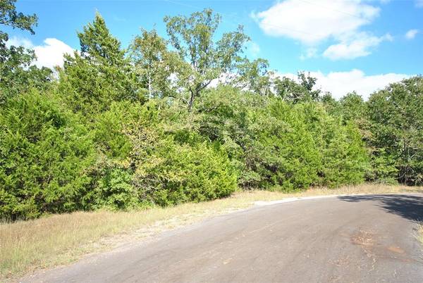 Lot 24 LCR 910 Drive, Jewett, TX 75846