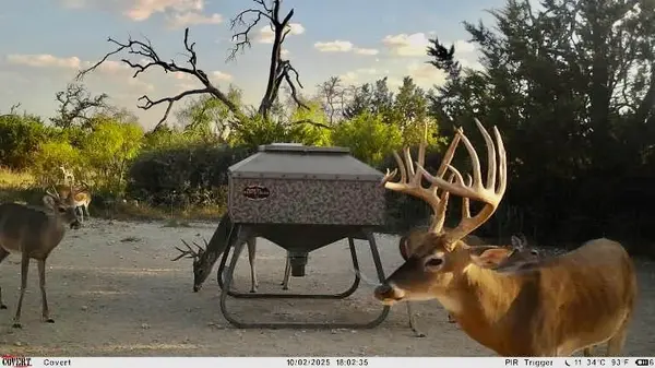 267 CR 112, Goldthwaite, TX 76844