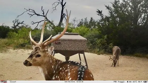 267 CR 112, Goldthwaite, TX 76844