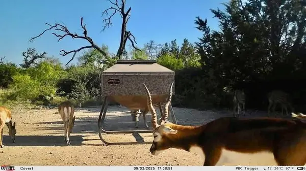 267 CR 112, Goldthwaite, TX 76844