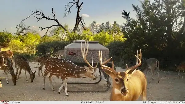 267 CR 112, Goldthwaite, TX 76844