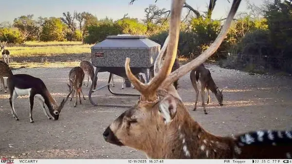 267 CR 112, Goldthwaite, TX 76844