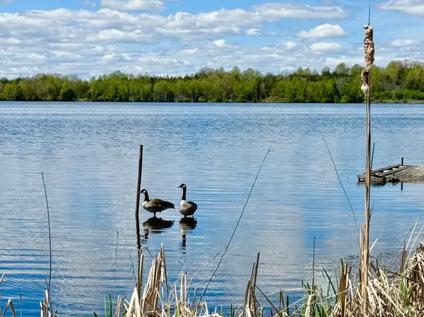 Alnwick/haldimand, ON K0K 2X0,523 Island View RD ##15