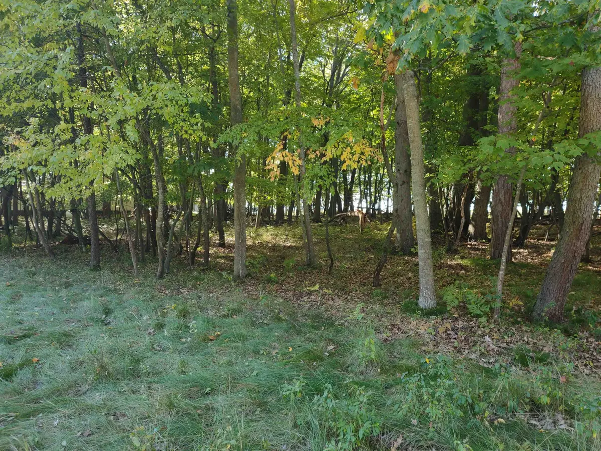 N/A Booth Road, Au Gres Twp, MI 48703