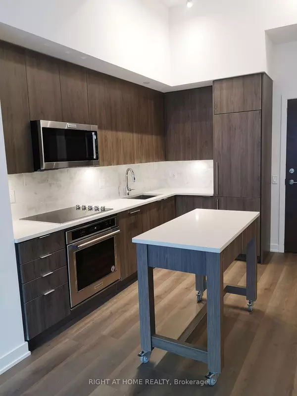 Toronto C01, ON M5V 0S2,38 Iannuzzi ST S #207