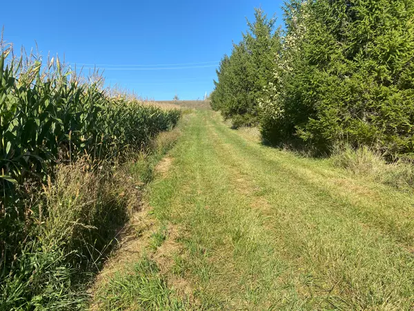 Kincardine, ON N0G 2T0,1315 Concession 8 Concession