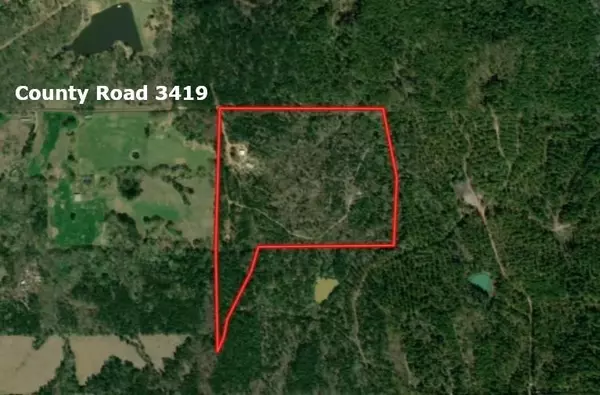 Brownsboro, TX 75756,16650 CR 3419