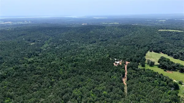 16650 CR 3419, Brownsboro, TX 75756