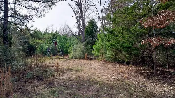 00 FM 1511, Buffalo, TX 75831