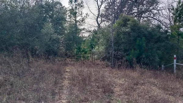 00 FM 1511, Buffalo, TX 75831