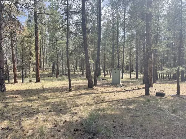 Chiloquin, OR 97624,Tableland RD #700