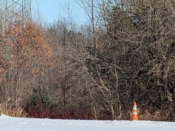 0 S M-65, Curtis Twp, MI 48737