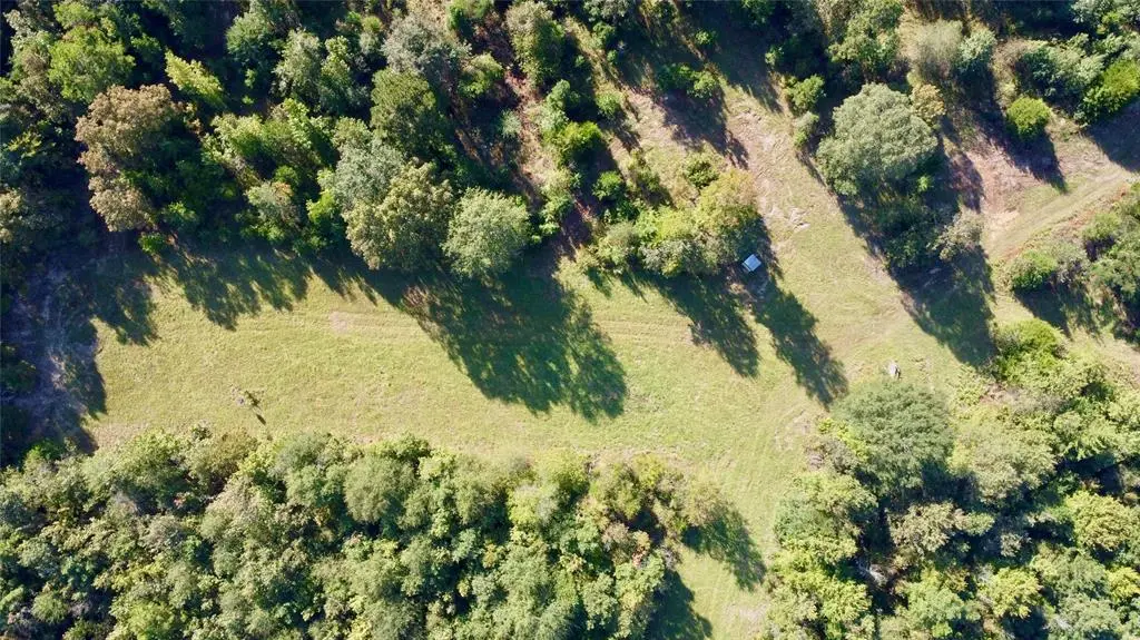 TBD CR 1579-2, Avinger, TX 75630