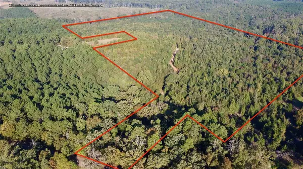 TBD CR 1579-1, Avinger, TX 75630