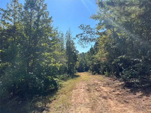 TBD CR 1579-1, Avinger, TX 75630