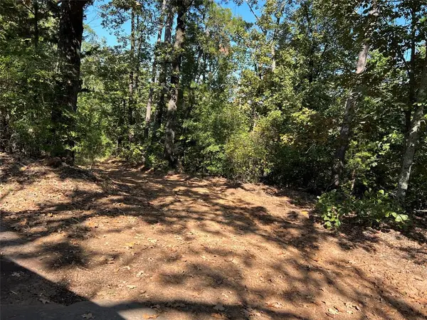 TBD CR 1579-1, Avinger, TX 75630