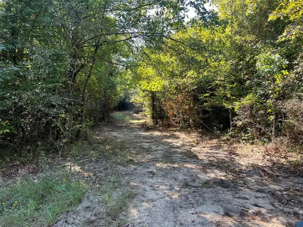 TBD CR 1579-1, Avinger, TX 75630