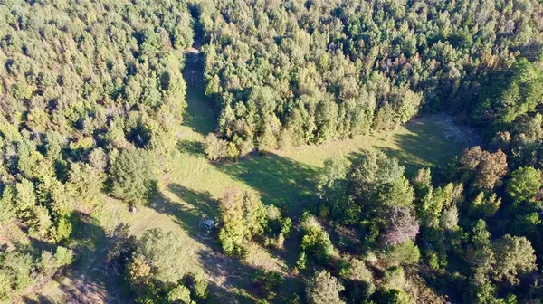 TBD CR 1579-2, Avinger, TX 75630