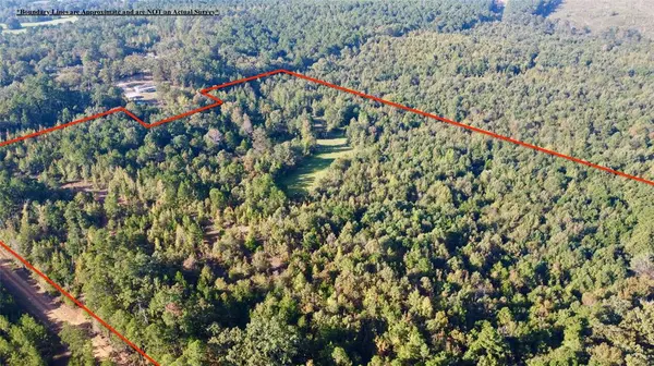 TBD CR 1579-2, Avinger, TX 75630