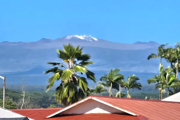 420 HUALI PL, Hilo, HI 96720