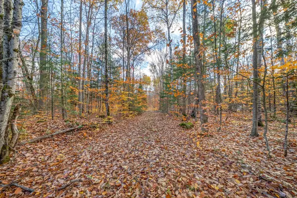 561 White House RD, Huntsville, ON P1H 2J3