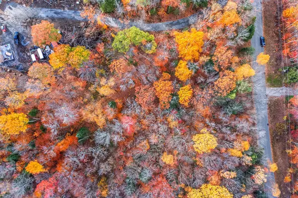 561 White House RD, Huntsville, ON P1H 2J3