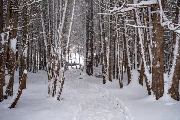 Kincardine, ON N0G 2T0,75 Albert RD