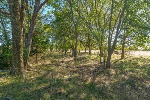 1633 Alexander Road, Moody, TX 76557