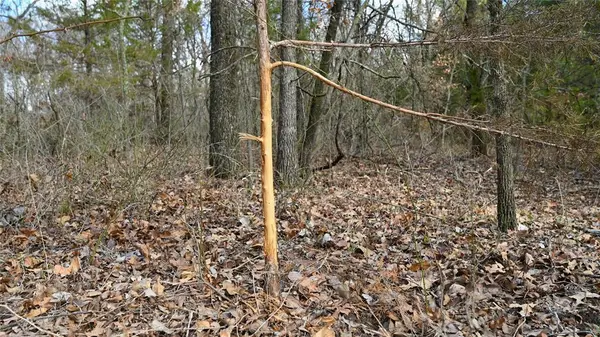 5633 Dixie School Rd, Montague, TX 76255